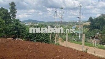 KẸT TIỀN BÁN GẤP lô đất Xã Đambri, Bảo Lộc 800m2 chỉ 650 triệu.