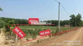 Bán tài sản đất 7230m² tại TP. Hồ Chí Minh mới giá hấp dẫn chỉ hơn 5tỷ