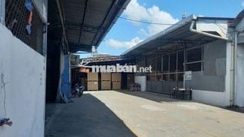 Cần bán kho xưởng, dt 1.500m2 tại P Tân Biên, cách công viên 30/4 300m