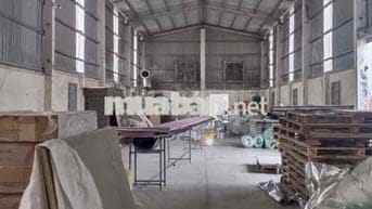 Cho Thuê Kho Xưởng Hóc Môn 1400m - cont 24/7