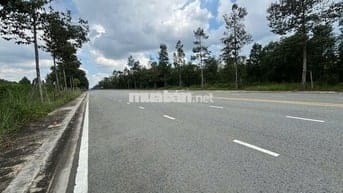 bán nhanh lô đất thuộc Mỹ Phước 4, TP Bến Cát, Bình Dương,