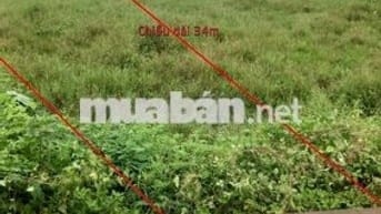 Bán mảnh đất nông nghiệp 257m2 mặt đường nhựa 2 oto tránh nhau