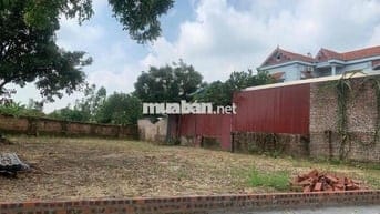 🔥 G.i.á Đẹp Nhất Khu Vực – Thái Lai (Minh Trí – Sóc Sơn) – 358m² – 2,4