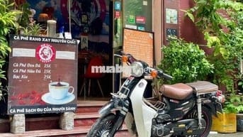 CUP 50 CC HYOSUNG KOREA