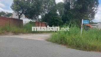 Mua 2ty8 giờ bán 1ty9 đất Đường DJ8A  thới hoà  bến cát