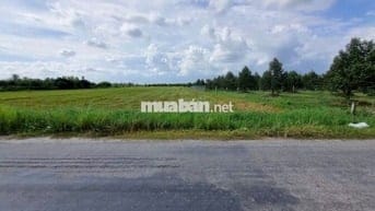 3600m2 đường nhựa. Ngay khu đô thị KCN Phước Đông. 2,6 tỷ