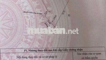 Anh tai cần bán gấp vườn điều giá 290tr