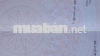 Bán gấp nhà thị trấn Cần Giuộc 845tr