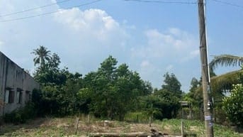 5x55(268m2) 50m2 TC Trưng Trắc Tân An LaGi Giá Đầu Tư