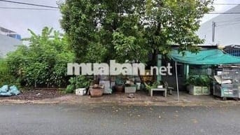 Bán đất gần đường Phạm Văn Diêu 300m, p.Tân Hạnh, Tp.Biên Hòa
