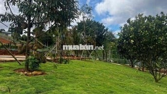 🏡 SỞ HỮU NGAY LÔ ĐẤT NGHỈ DƯỠNG – PHÁP LÝ RÕ RÀNG🤩