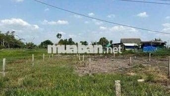395tr sổ hồng riêng , xã đức tân - tân trụ - long an , dt :145mv thổ