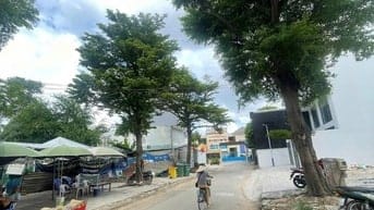 chuyên bán đất khu vực phố tây thảo điền quận 2 , xây dựng 5 tầng