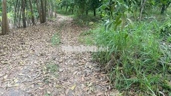 ĐẤT SÀO 2014M2 chỉ 799tr Định Quán Đồng Nai