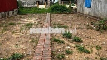 Cần Bán 58m thôn Ấp Tre, Tổ 10 Quang Minh, Mê Linh, HN. Đường thông,