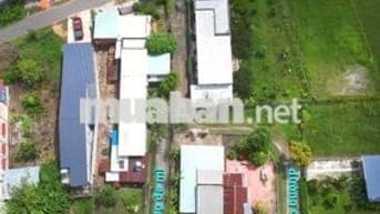 BÁN ĐẤT TẠI KP. Cây Xoài- P. Gò Dầu