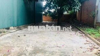 Căn Nhà Thuê Sát vành đai 10/3 Phạm Ngũ Lão