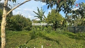 Kẹt tiền trả lãi chủ bán lô đất 2500m2 giá chỉ 550 triệu tại Tân Lạc