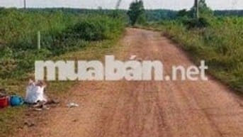 Cần bán gấp lô đất đường rộng tại xuân thành xuân lộc đồng nai