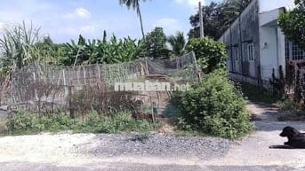 🔥🔥 CẮT LỖ BÁN GẤP LÔ ĐẤT CỰC ĐẸP NGAY PHƯỚC VĨNH AN, CỦ CHI🔥🔥