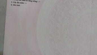 BÁN ĐẤT TẠI PHƯỚC TÂN - BIÊN HÒA