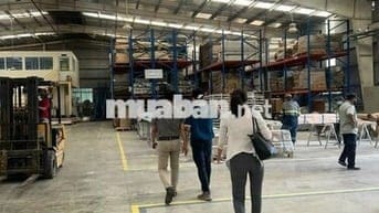 Bán gấp 2 kho xưởng DT: 8.000m² trong KCN Hòa Bình , Thủ Thừa, Long An