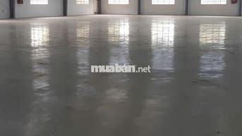 Cho thuê kho xưởng , DT: 1.680m² , Phước Lý, Cần Giuộc giáp Bình Chánh
