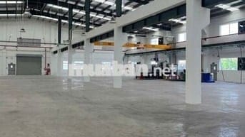 Cho Thuê Kho Xưởng 1200m² – Quận Bình Tân Container 24/24,PCCC Tự Động