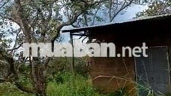 có nhà điện nước đầy đủ sau có suôi  đường đất 8m thông xắp lên nhưa