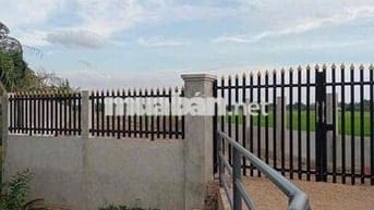 Cần Bán Đất 1550m2 - 10 tỷ Đường Trương Văn Đa Bình Chánh