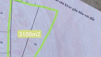 Bán 3100m2 đất nông nghiệp đường ô tô gần Nguyễn Văn Linh + QL1A