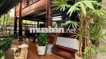 Cho Thuê quán cafe sân vườn KDC Hưng Phú 1