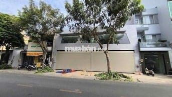 MT Độc Lập , Q. Tân Phú - 16x19 - Cấp 4 ( trống suốt ) - Giá Rẻ