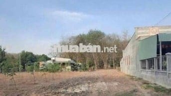 Chị 8 bán nhanh lô đất 250m2+100tc đối diện UBNN An Linh đi vào 200m