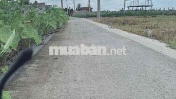 dt: 5*25 , giá :490tr , lạc tấn - tân trụ - long an , sổ hồng riêng