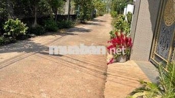 Đâấ sổ hồng thổ cư cách quốc lộ 1 a 400m dân cư đông bán gấp