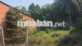 Đất nền full thổ cư(DT: 261m2) Đường Tỉnh 825