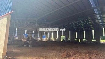 Cho thuê nhà xưởng 7364 m2 Mới 100% Tân Uyên - Bình Dương