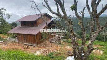 Bán gấp mảnh đất Xuân Trường DL diện tích 1200m2 giá 650tr tặng nhà gỗ