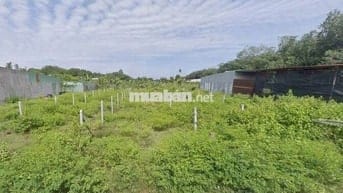 CHỦ CẦN VỐN LÀM ĂN GỬI BÁN LÔ ĐẤT 173M2 - NHUẬN ĐỨC, CỦ CHI. GIÁ 450TR