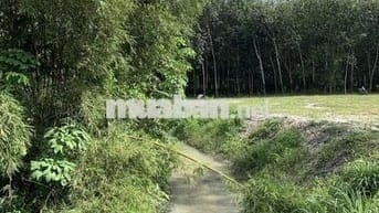 Đất sào hơn 2000m2 có sẵn nhà cấp 4 và view suối phía sau