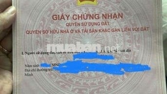 Chính chủ đất trồng cây lâu năm mặt tiền đường Hùng Vương, Nhơn Trạch,