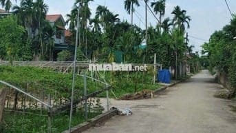 🔥 Lô Đất Nằm giữa khu biệt thự - trại diền - hồng Thái - Phú Xuyên -