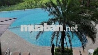 Hot deal tháng 9 - Studio 43m2 giá 4tr cọc 1
