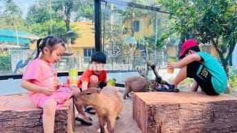 Về quê cần bán nhà đang ở 2pn 1pk 1 wc sân xe hơi trc sau hẻm rộng