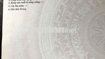 Cần bán đất + Dãy trọ đường Triệu Quốc Đạt