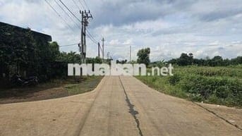💥 ĐẤT 2MT HẺM ĐƯỜNG ĐOÀN KẾT XÃ HÒA PHÚ 394m2 THỔ CƯ VIEW RUỘNG 1.2 TỶ