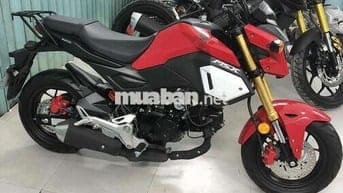 MSX125 2019 biểnsố HCM, xe chính chủ. MSX 125 2019