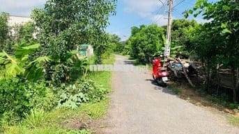 ĐẤT THỔ CƯ 20x35Mét M.TIỀN ĐƯỜNG NHỰA X.PHƯỚC THẠNH H.GÒ DẦU