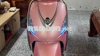Elizabeth fi biển số tphcm chính chủ ký